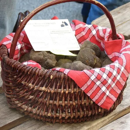 A Deux Pas De St Cirq Lapopie , Des Murets De L'isa * Esclauzels